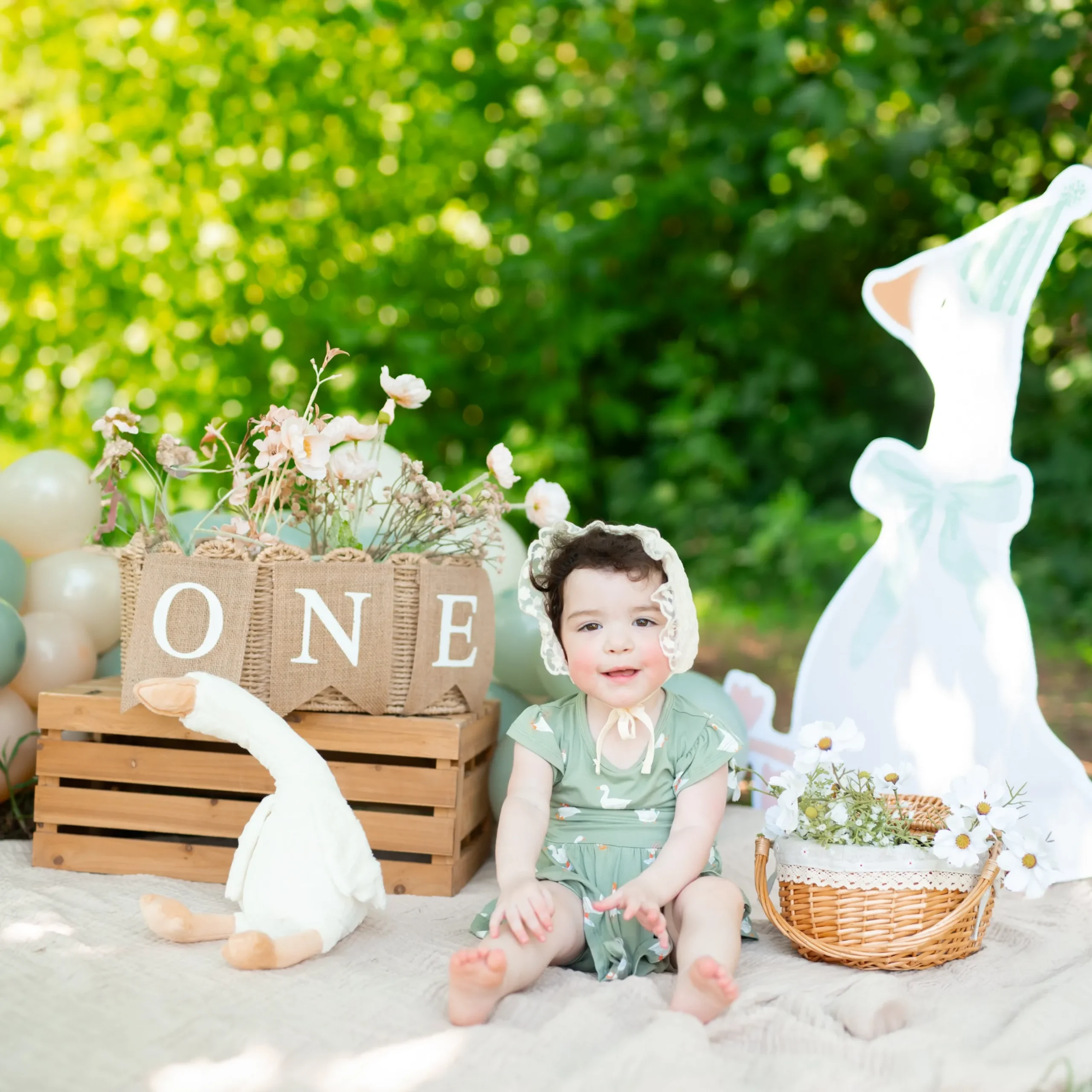 Outlet Kyte Baby Twirl Bodysuit Dress in Silly Goose