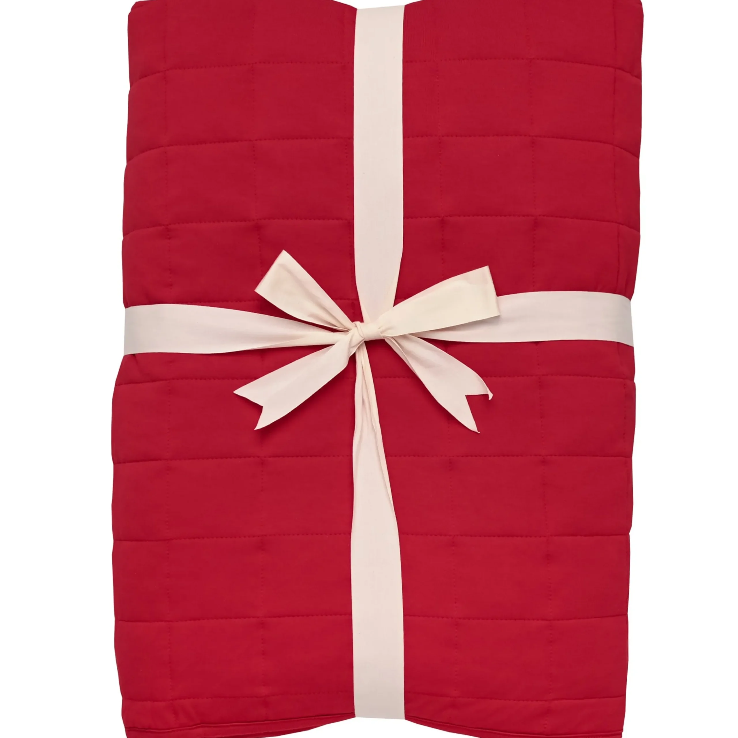 Hot Kyte Baby Youth Blanket in 2.5 Cardinal