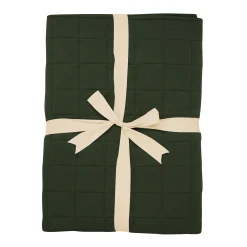 Discount Kyte Baby Youth Blanket in 2.5 Fir